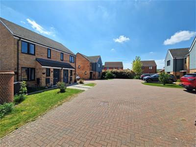 Picture 19